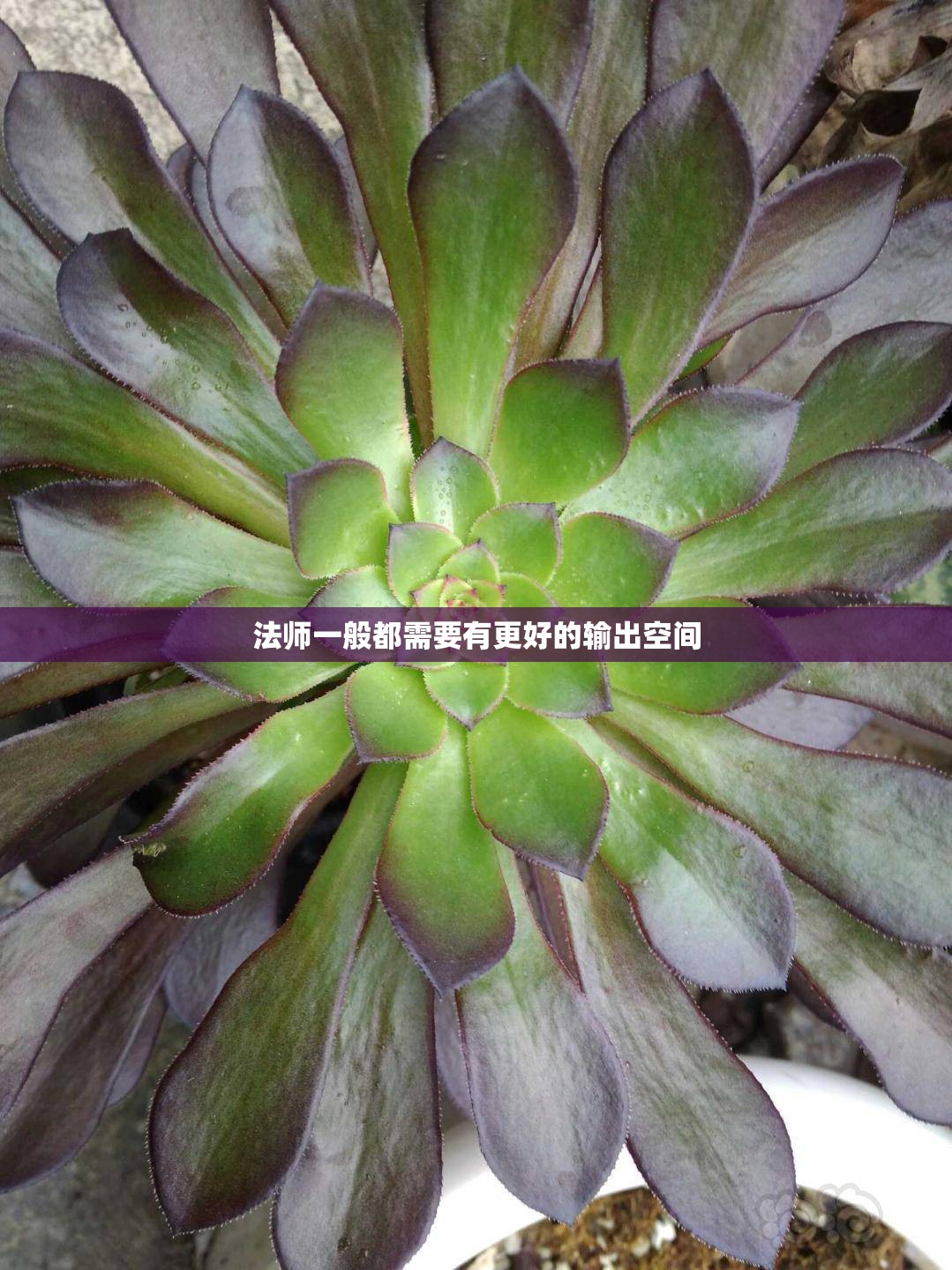 法师一般都需要有更好的输出空间