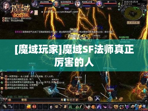 [魔域玩家]魔域SF法师真正厉害的人