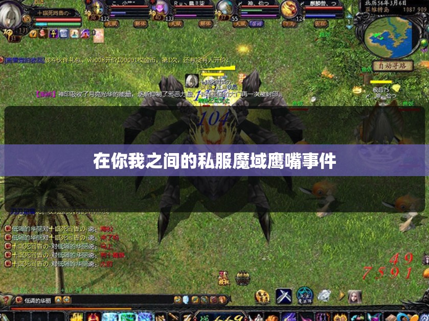 在你我之间的私服魔域鹰嘴事件