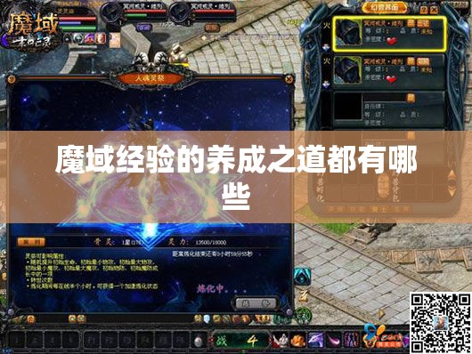 魔域经验的养成之道都有哪些