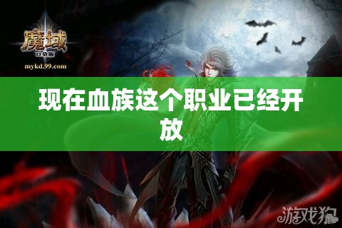 血族应该怎么升级才能够更快