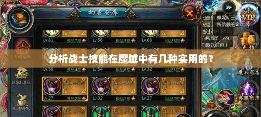 分析战士技能在魔域中有几种实用的？