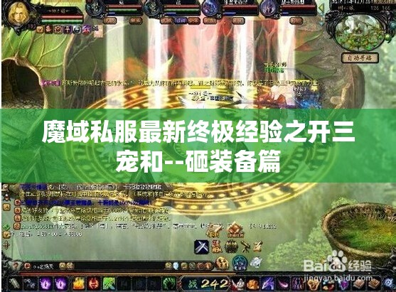 魔域私服最新终极经验之开三宠和--砸装备篇