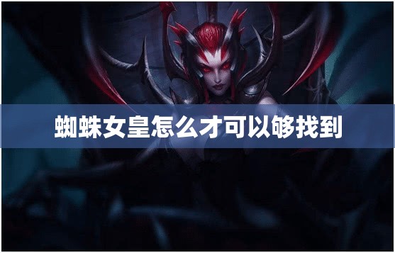 蜘蛛女皇怎么才可以够找到