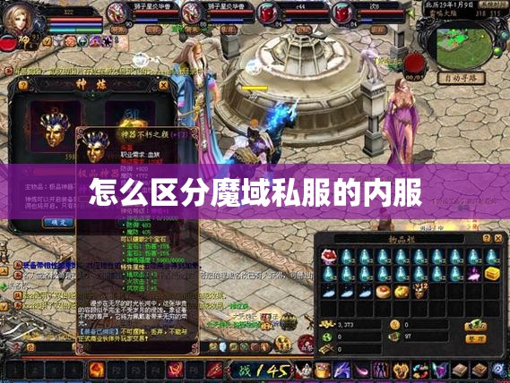 怎么区分魔域私服的内服