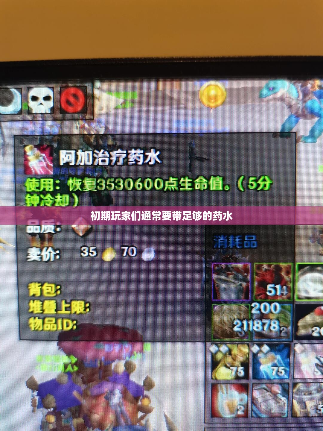 初期玩家们通常要带足够的药水