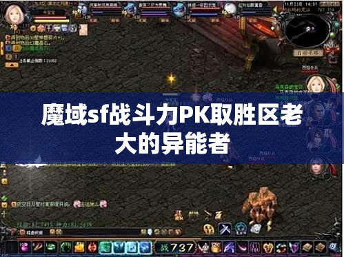魔域sf战斗力PK取胜区老大的异能者