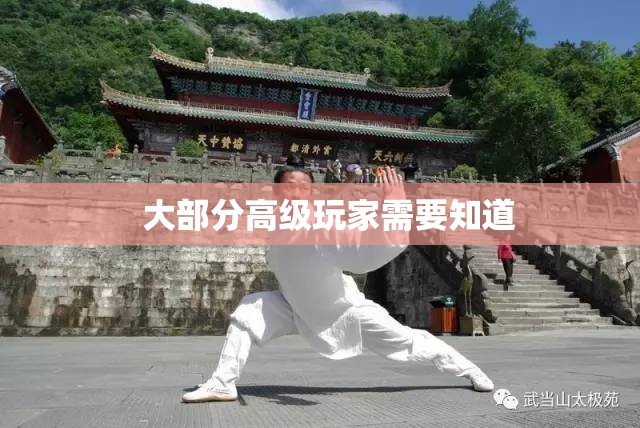 如何让天山弟子短时间发挥更大优势