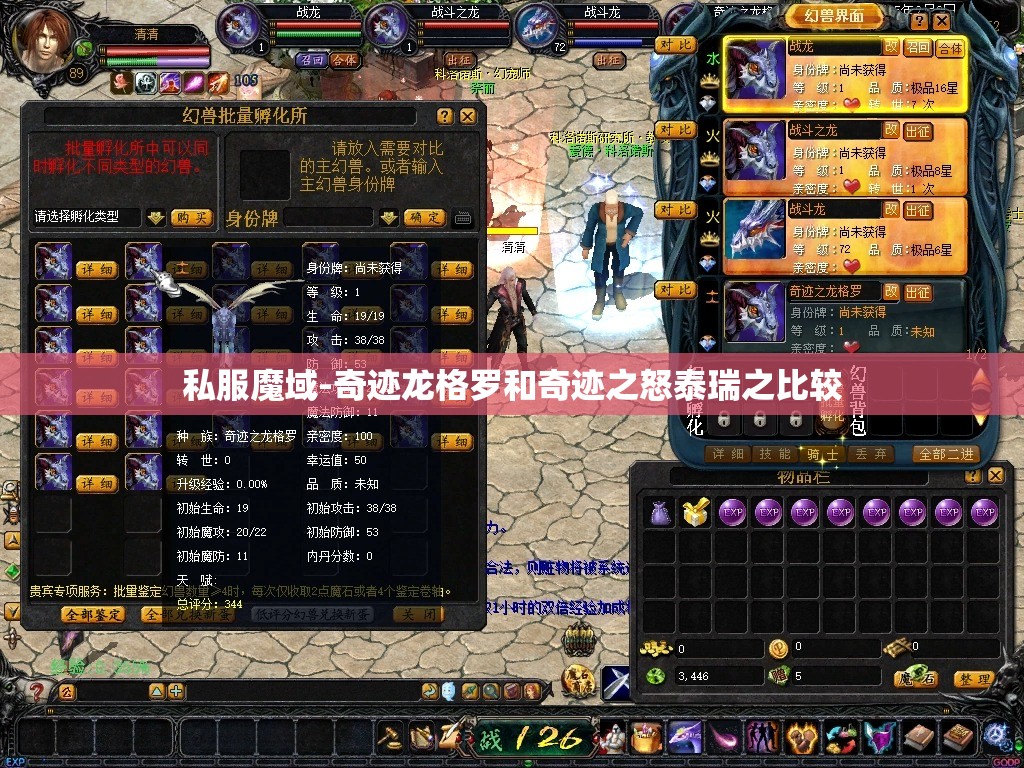 私服魔域-奇迹龙格罗和奇迹之怒泰瑞之比较