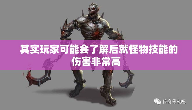 高等级的骷髅怪物伤害非常高