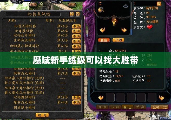 魔域新手练级可以找大胜带